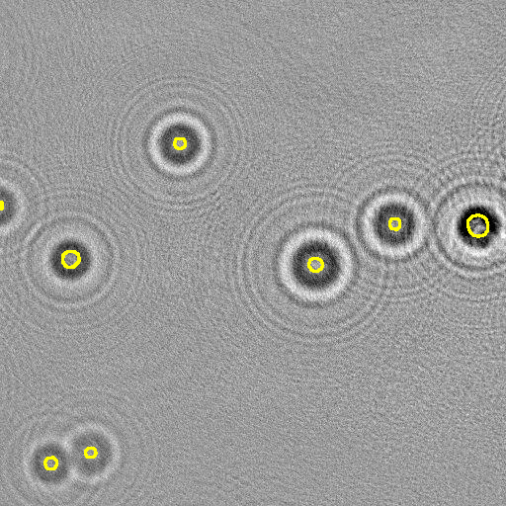 Instance Segmentation from Particle Holograms